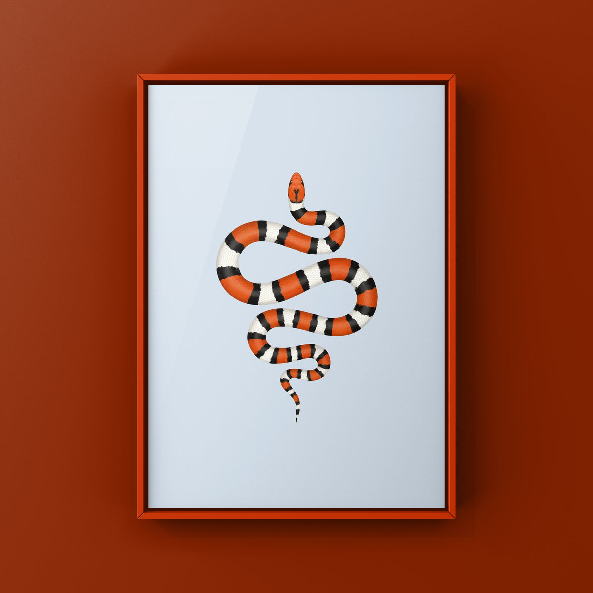 Scarlet Kingsnake Art Print (Lampropeltis elapsoides)