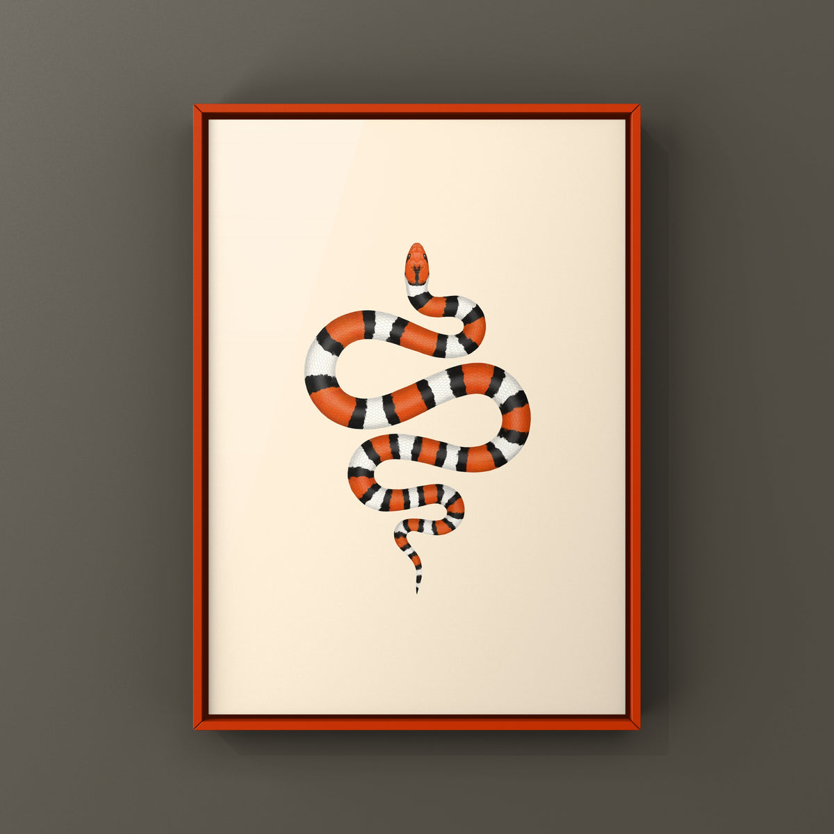 Scarlet Kingsnake Art Print (Lampropeltis elapsoides)