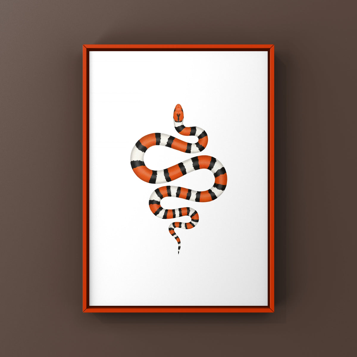 Scarlet Kingsnake Art Print (Lampropeltis elapsoides)