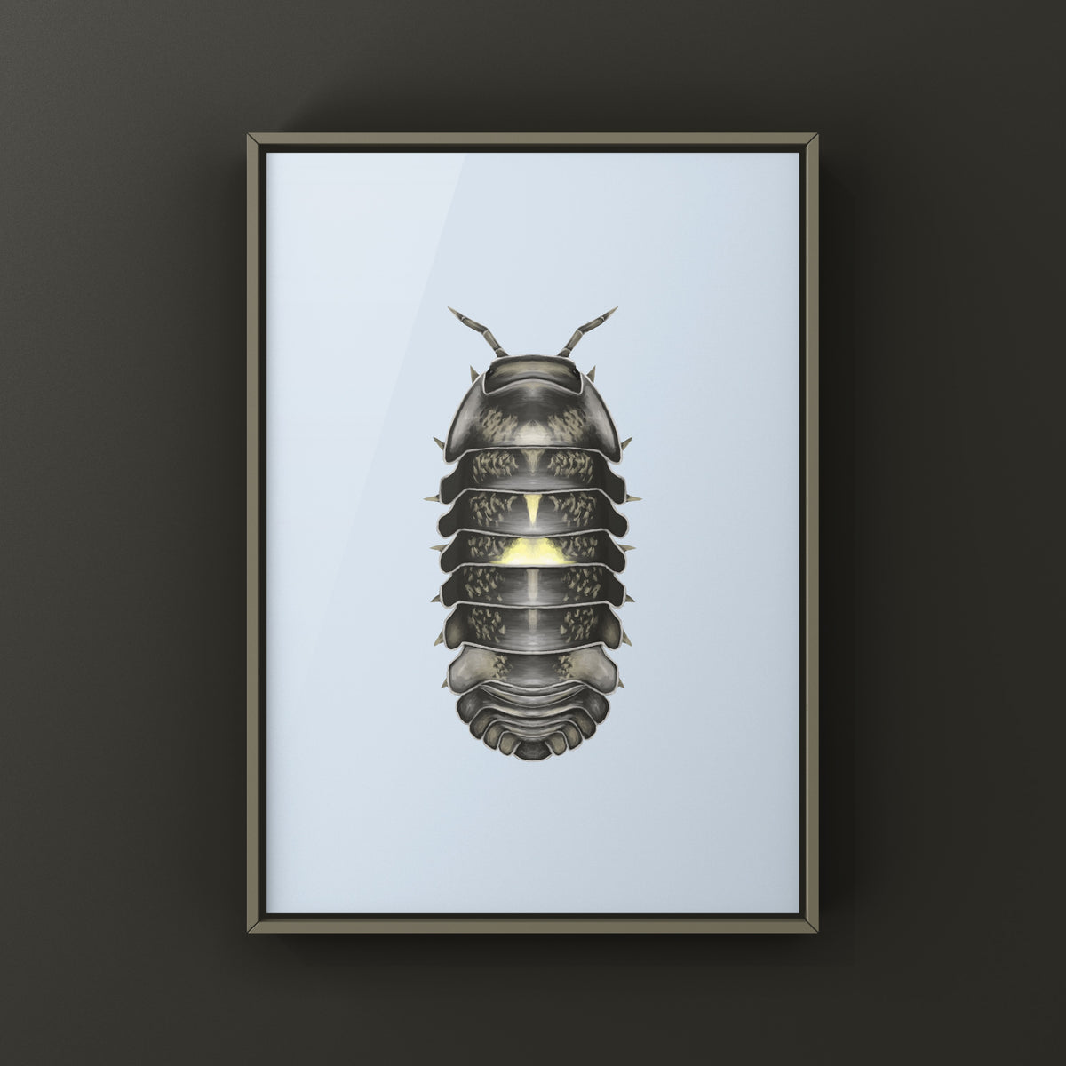 Dark Amber Firefly Isopod Art Print (Cubaris sp. Amber Firefly DCF) from The Silk Ranch