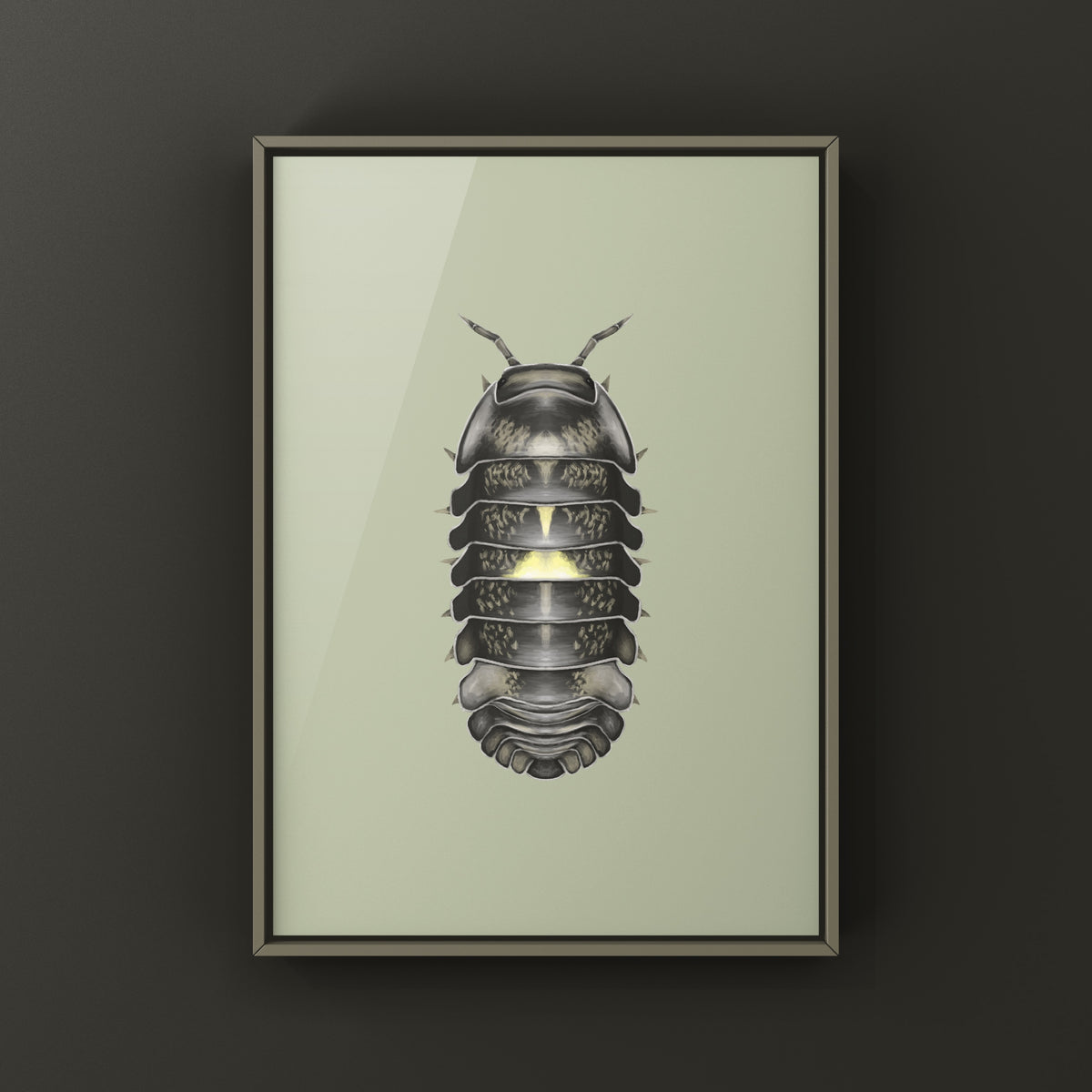 Dark Amber Firefly Isopod Art Print (Cubaris sp. Amber Firefly DCF) from The Silk Ranch