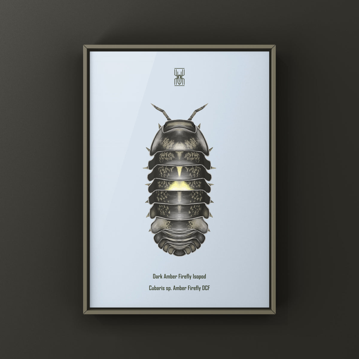 Dark Amber Firefly Isopod Art Print (Cubaris sp. Amber Firefly DCF) from The Silk Ranch