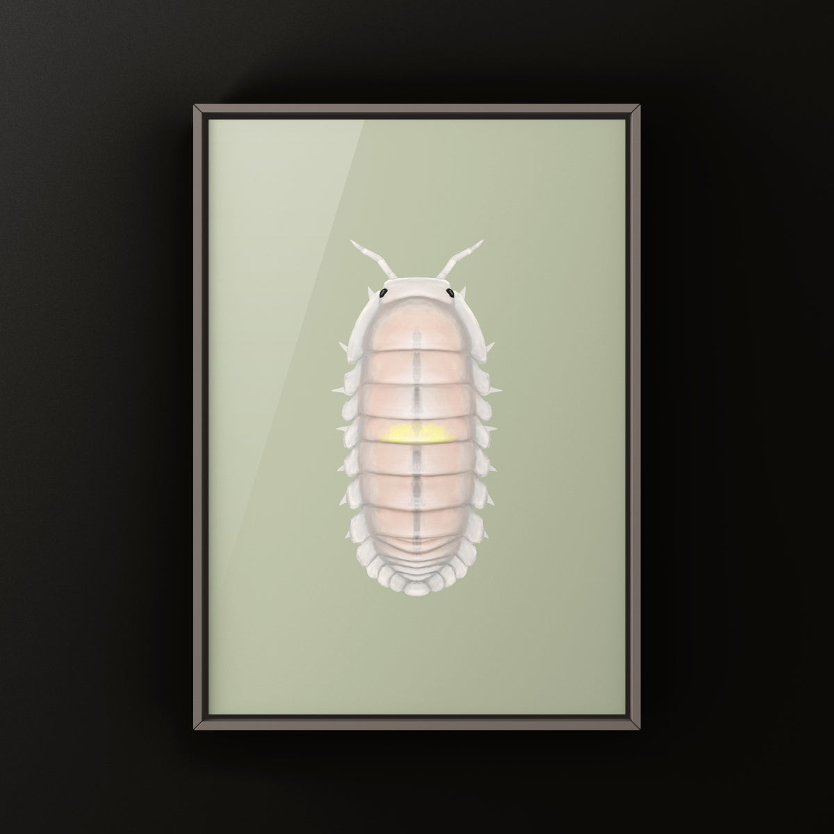 Pink Amber Firefly Isopod Art Print (Cubaris sp. Amber Firefly LCF) from The Silk Ranch