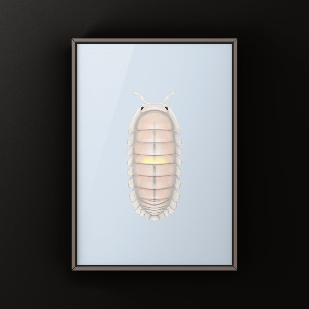 Pink Amber Firefly Isopod Art Print (Cubaris sp. Amber Firefly LCF) from The Silk Ranch