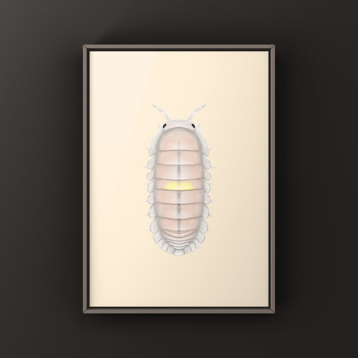 Pink Amber Firefly Isopod Art Print (Cubaris sp. Amber Firefly LCF) from The Silk Ranch