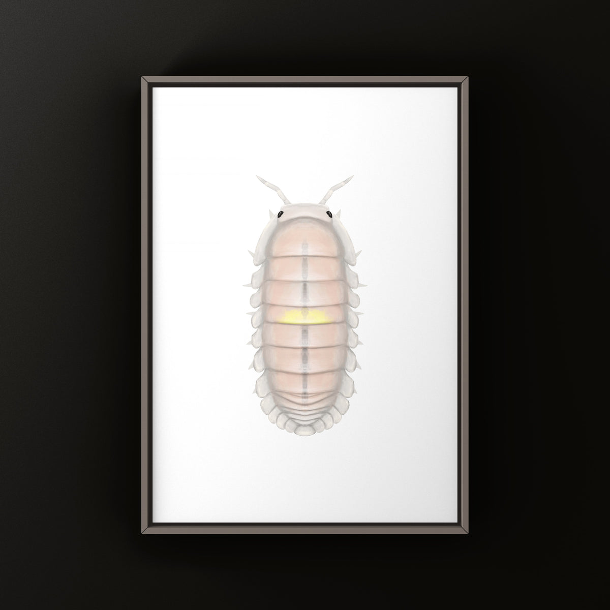 Pink Amber Firefly Isopod Art Print (Cubaris sp. Amber Firefly LCF) from The Silk Ranch
