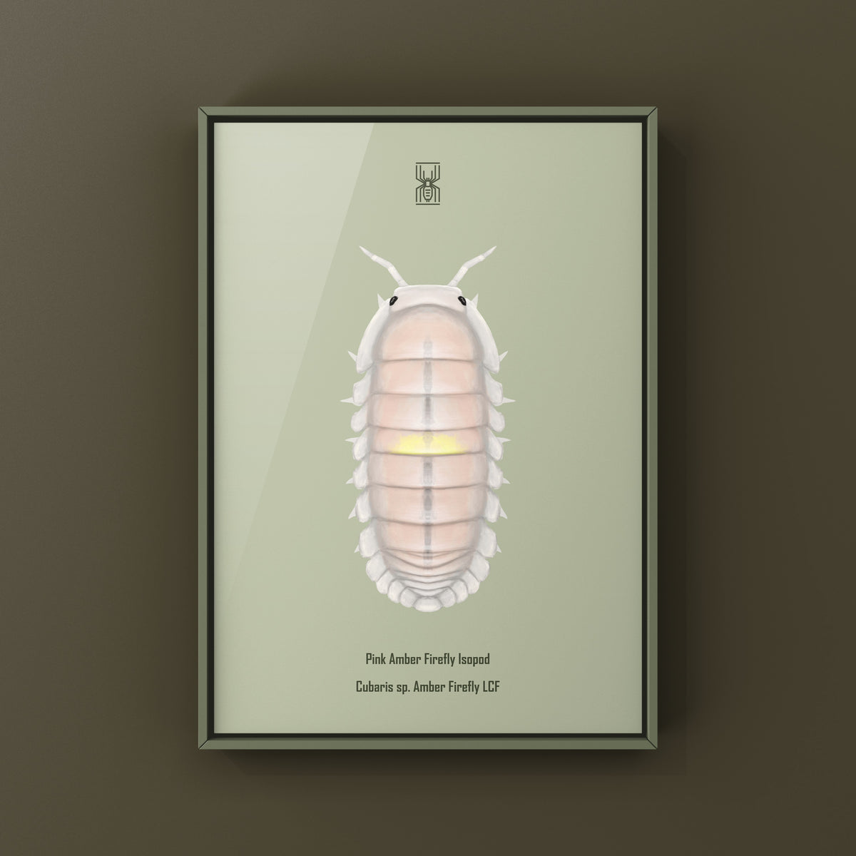 Pink Amber Firefly Isopod Art Print (Cubaris sp. Amber Firefly LCF) from The Silk Ranch