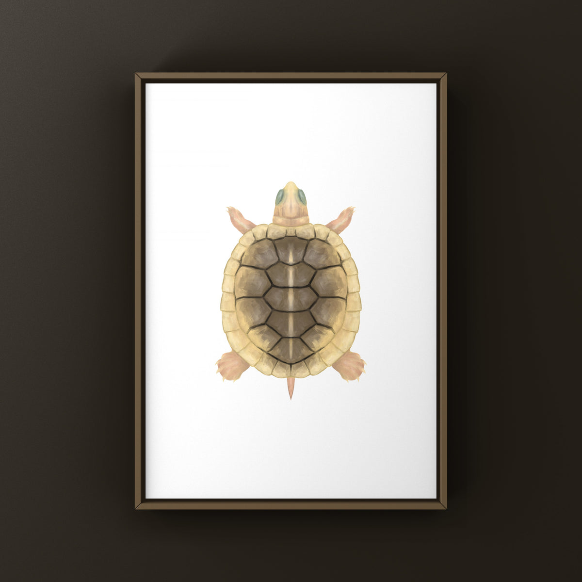 Caramel Pink Albino Red-eared Slider Art Print (Trachemys scripta elegans)