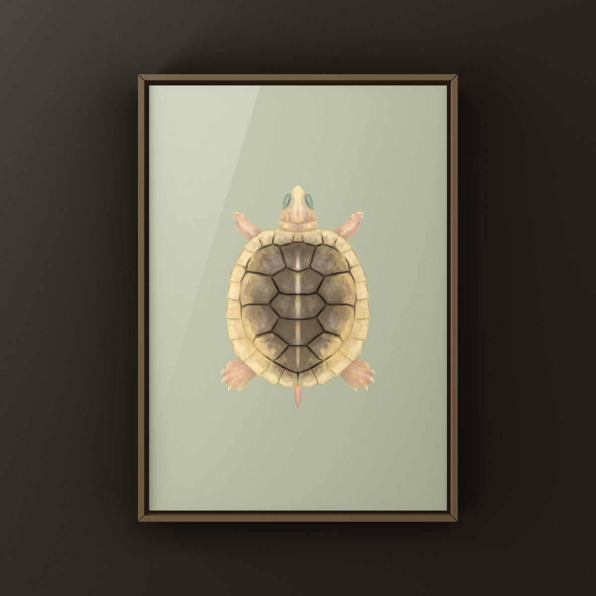 Caramel Pink Albino Red-eared Slider Art Print (Trachemys scripta elegans)