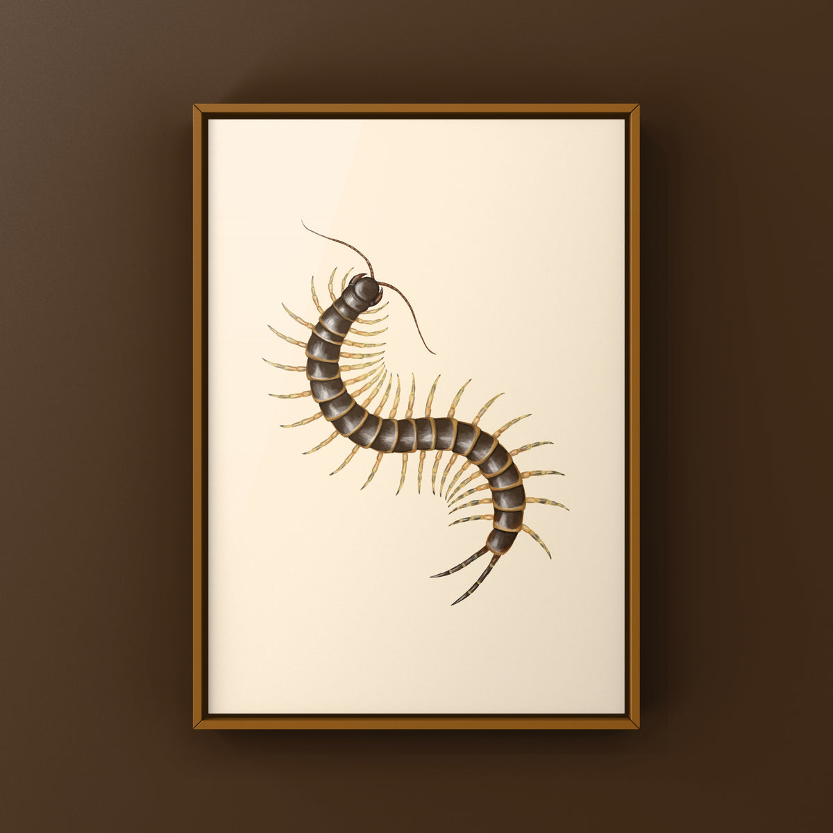 Amazonian Giant Centipede Art Print (Scolopendra gigantea "Gold")