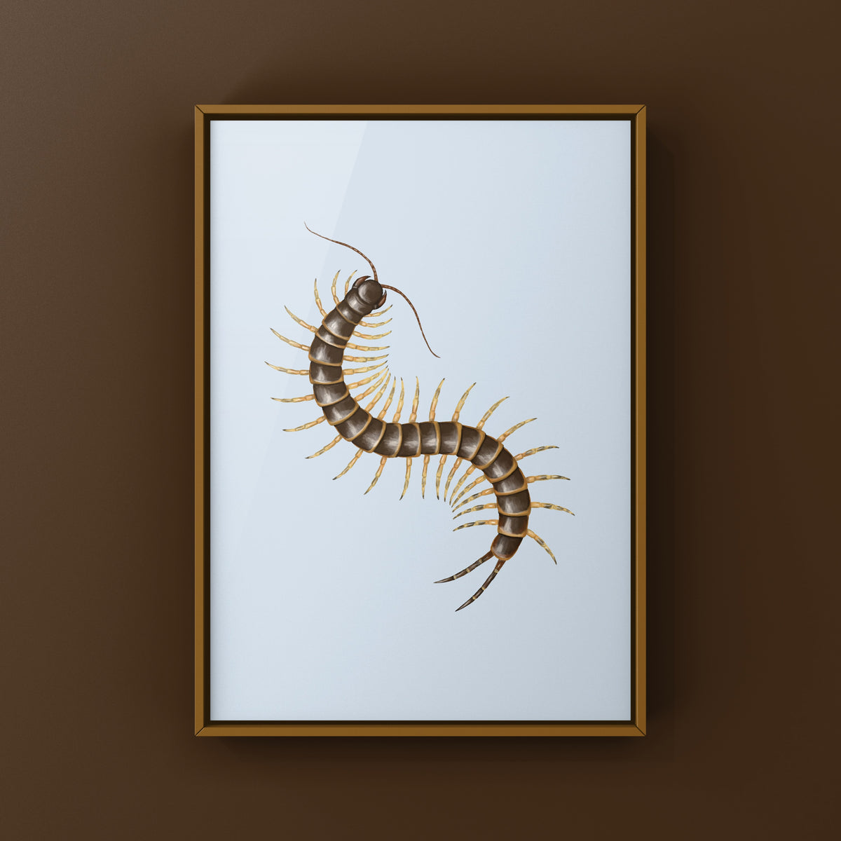 Amazonian Giant Centipede Art Print (Scolopendra gigantea "Gold")