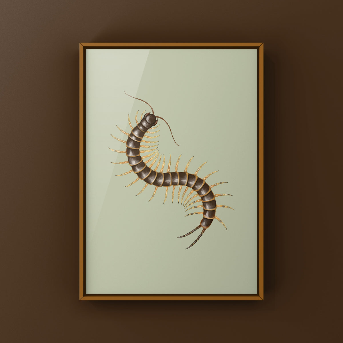 Amazonian Giant Centipede Art Print (Scolopendra gigantea "Gold")