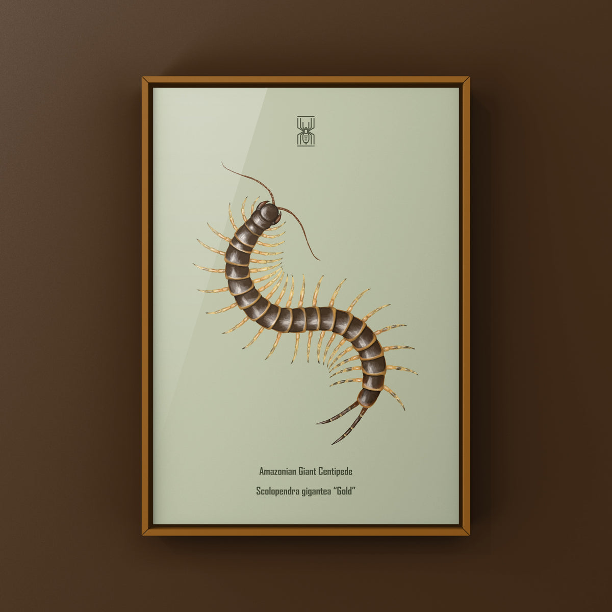 Amazonian Giant Centipede Art Print (Scolopendra gigantea "Gold")