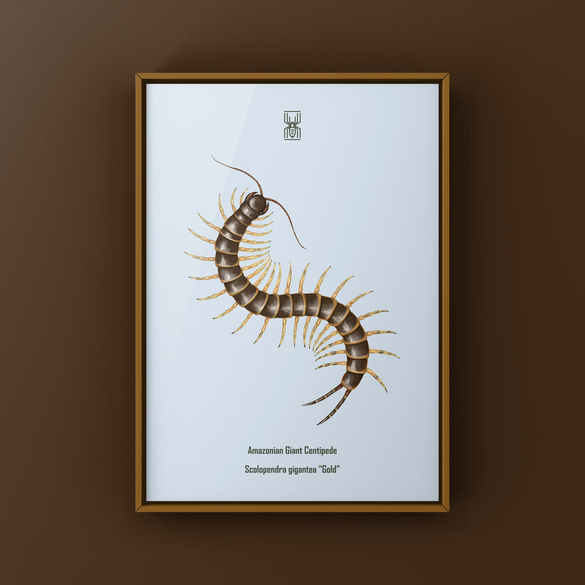 Amazonian Giant Centipede Art Print (Scolopendra gigantea "Gold")