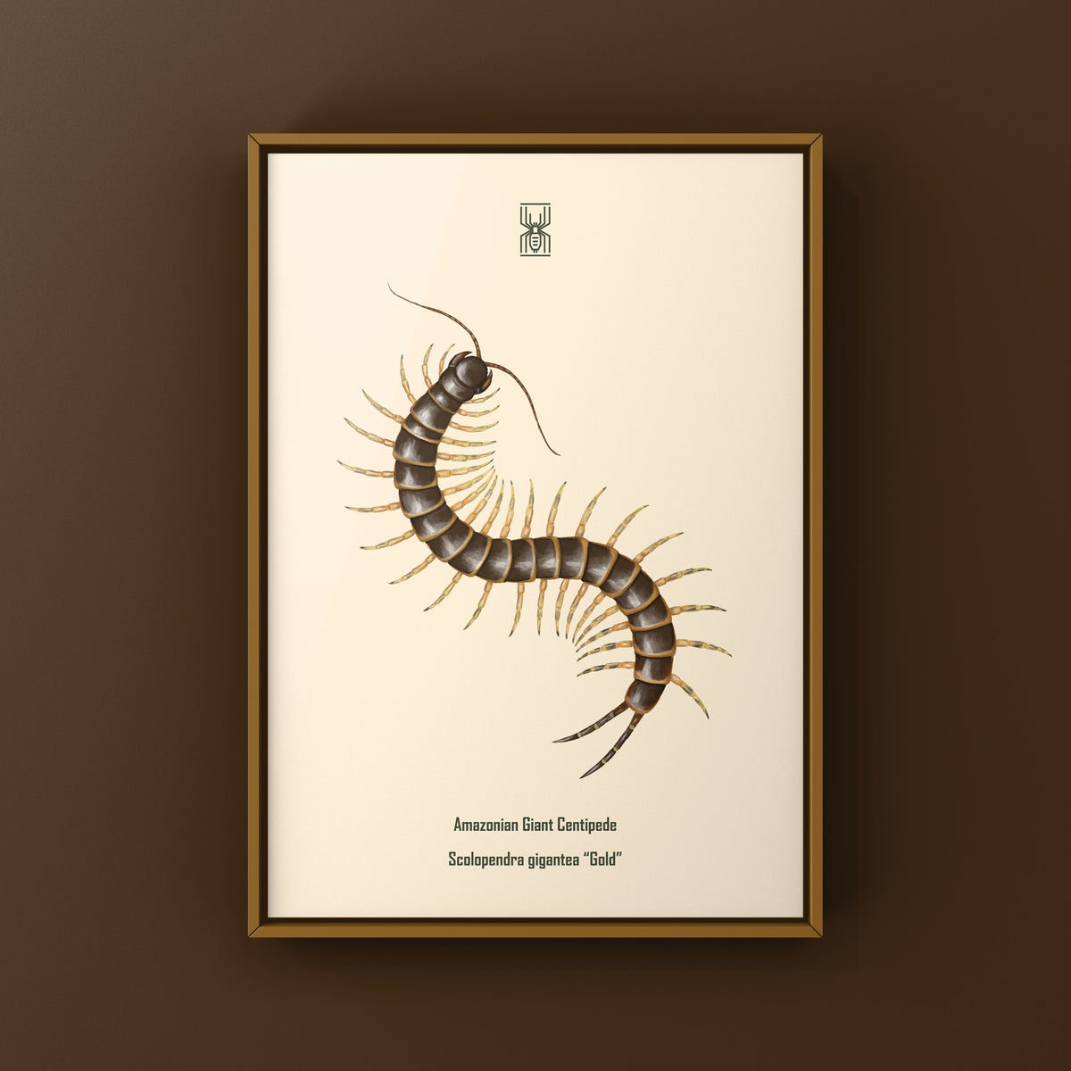 Amazonian Giant Centipede Art Print (Scolopendra gigantea "Gold")