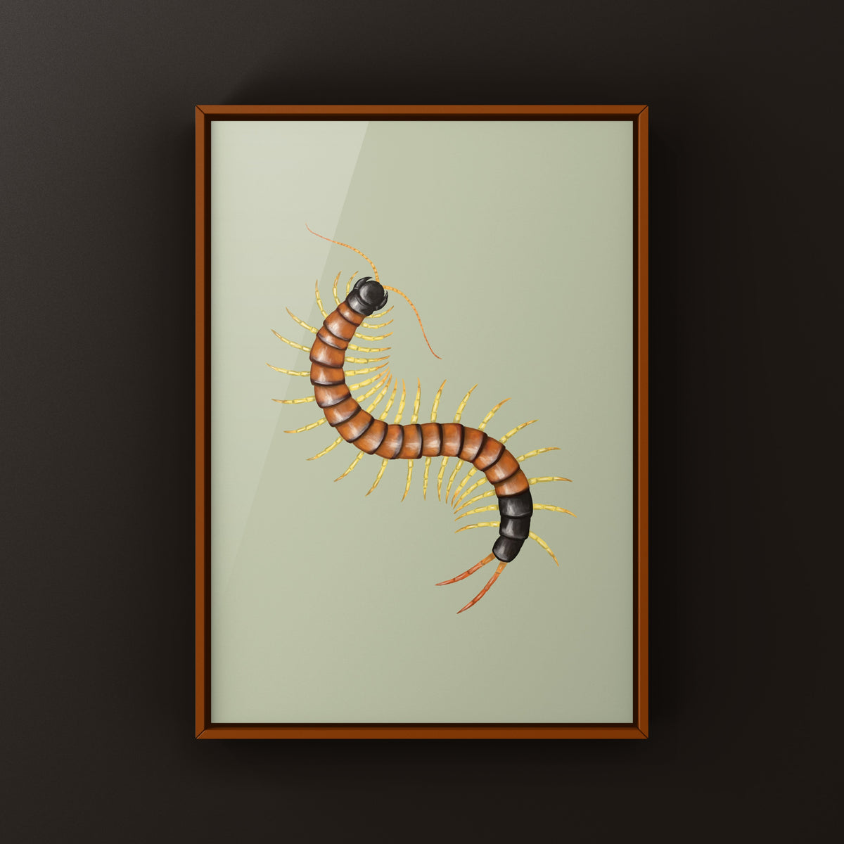 Giant Desert Centipede Art Print (Scolopendra heros arizonensis "Lineated")
