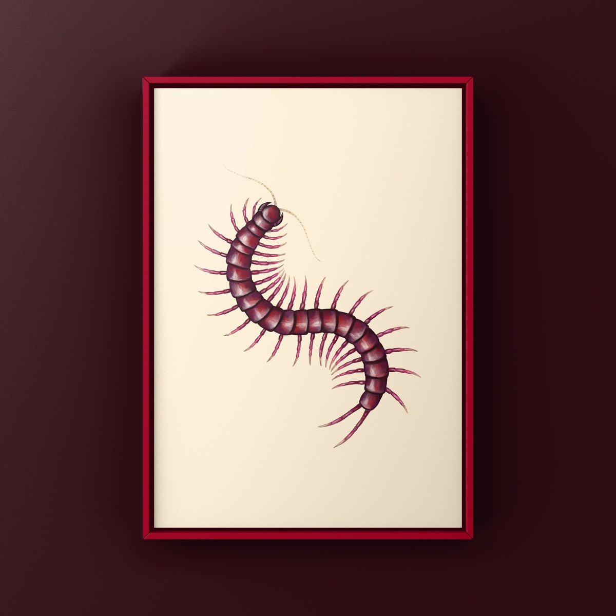 Sumatran Purple Centipede Art Print (Scolopendra sp. Sumatran Purple)