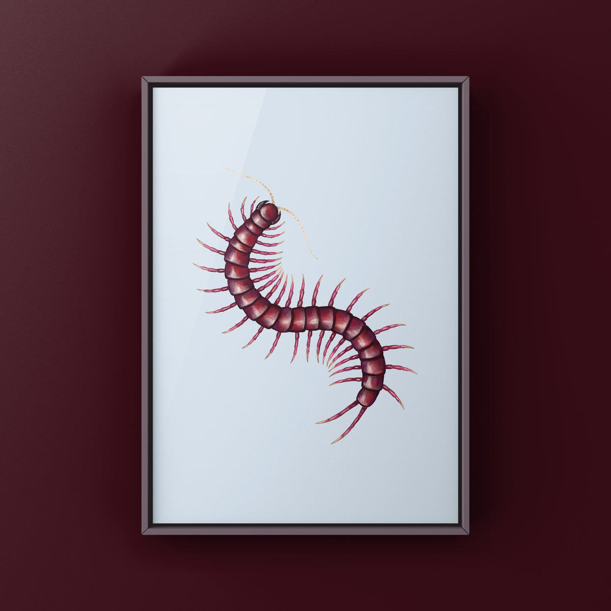 Sumatran Purple Centipede Art Print (Scolopendra sp. Sumatran Purple)