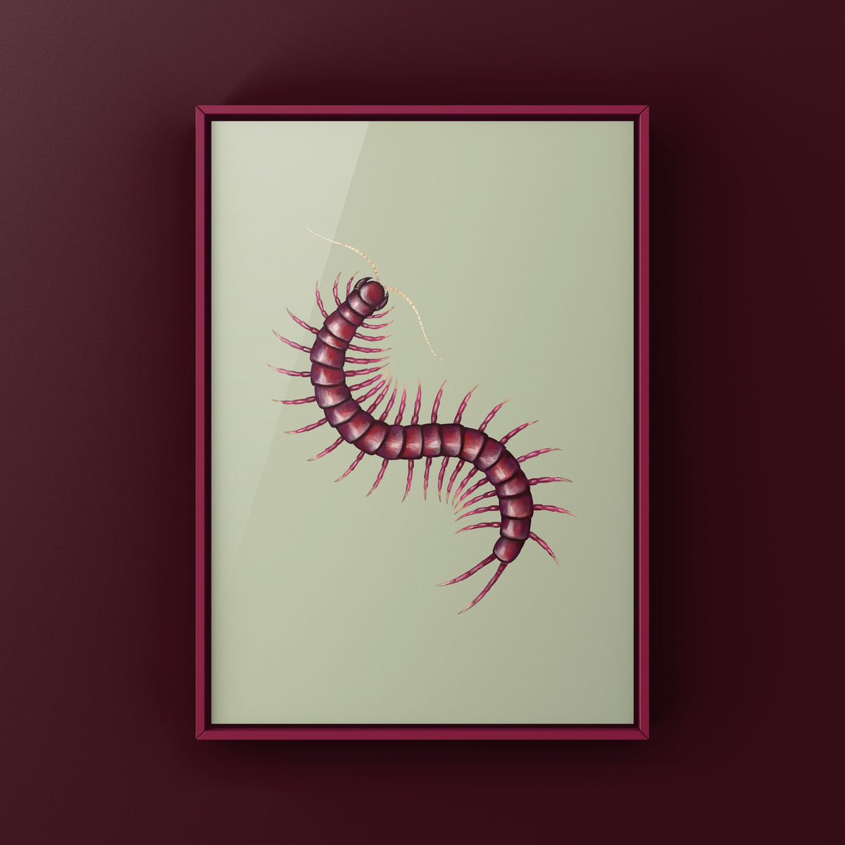 Sumatran Purple Centipede Art Print (Scolopendra sp. Sumatran Purple)