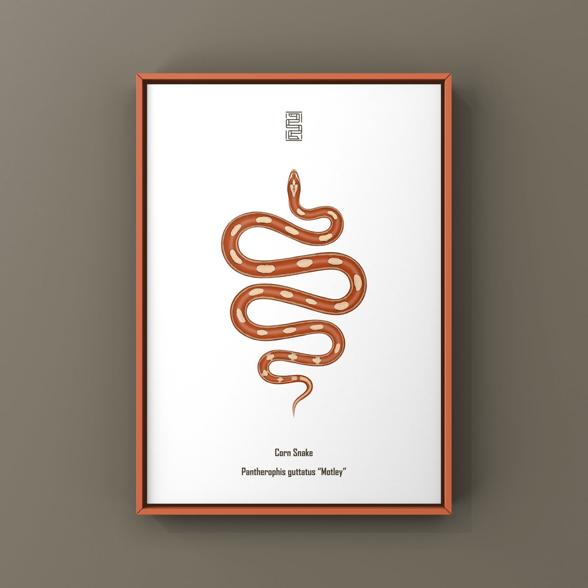 Motley Corn Snake Art Print (Pantherophis guttatus)