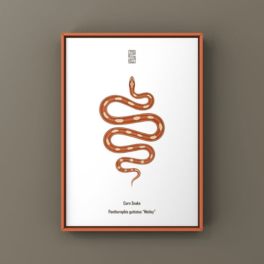 Motley Corn Snake Art Print (Pantherophis guttatus)
