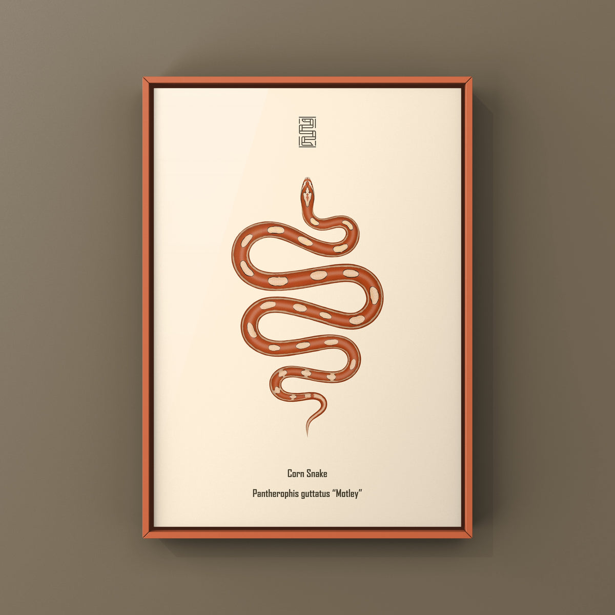 Motley Corn Snake Art Print (Pantherophis guttatus)