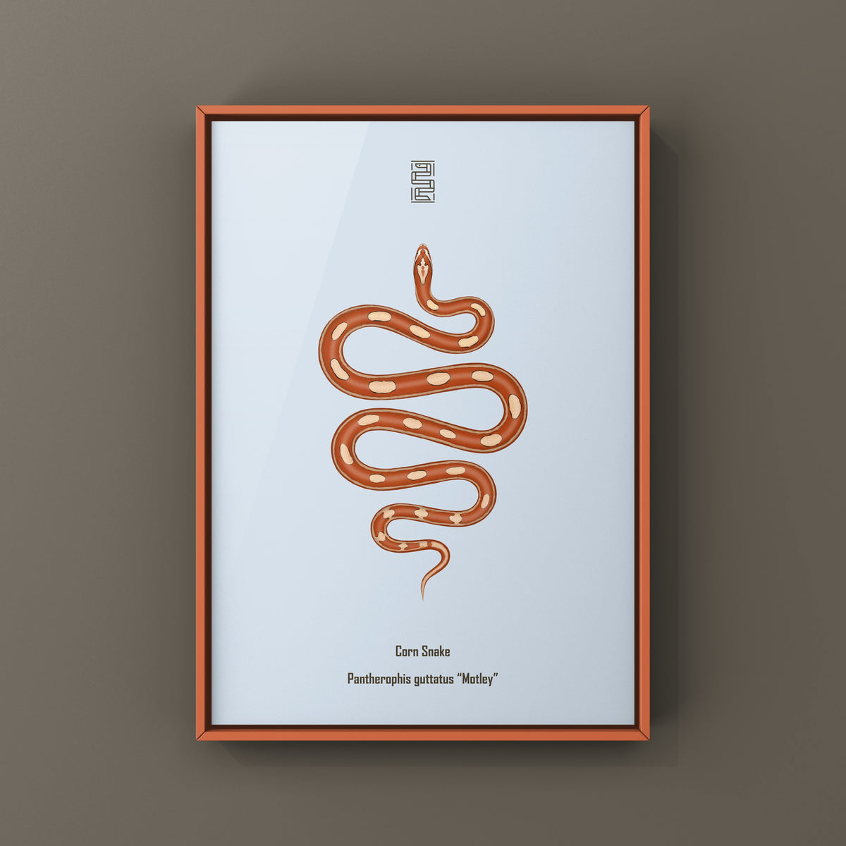 Motley Corn Snake Art Print (Pantherophis guttatus)