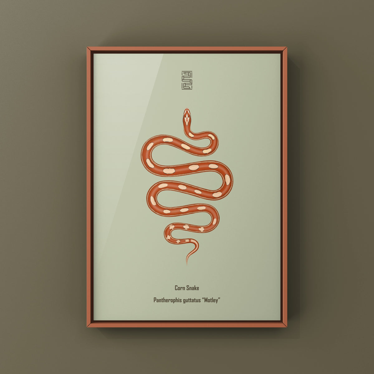 Motley Corn Snake Art Print (Pantherophis guttatus)