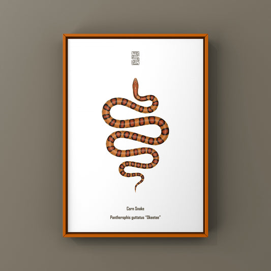 Okeetee Corn Snake Art Print (Pantherophis guttatus)