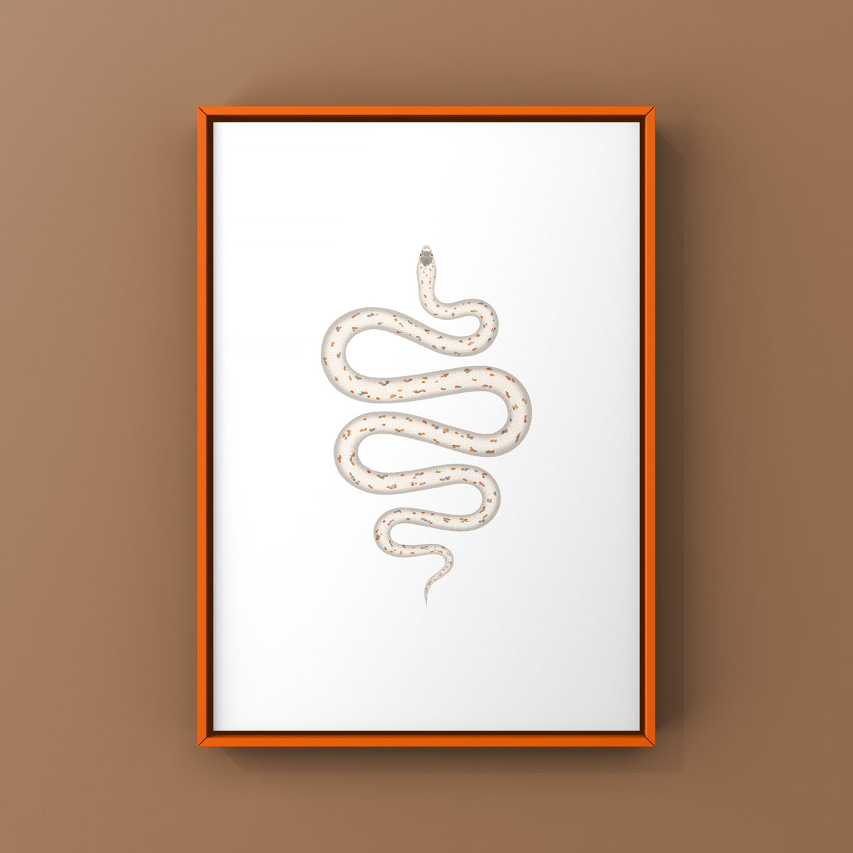 Palmetto Corn Snake Art Print (Pantherophis guttatus)