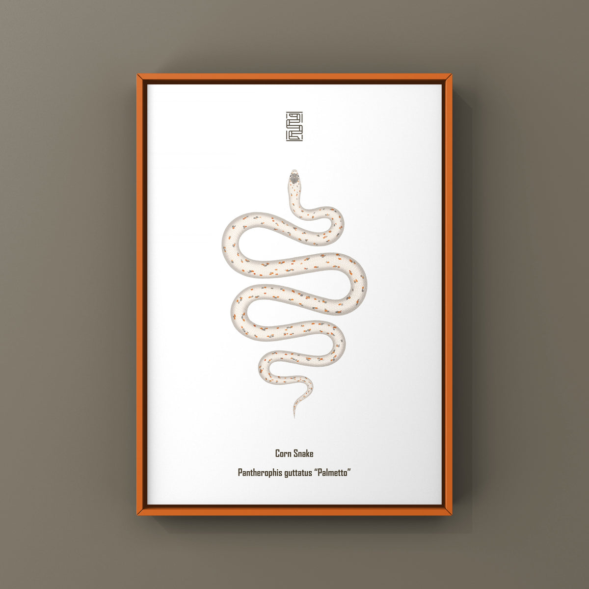 Palmetto Corn Snake Art Print (Pantherophis guttatus)