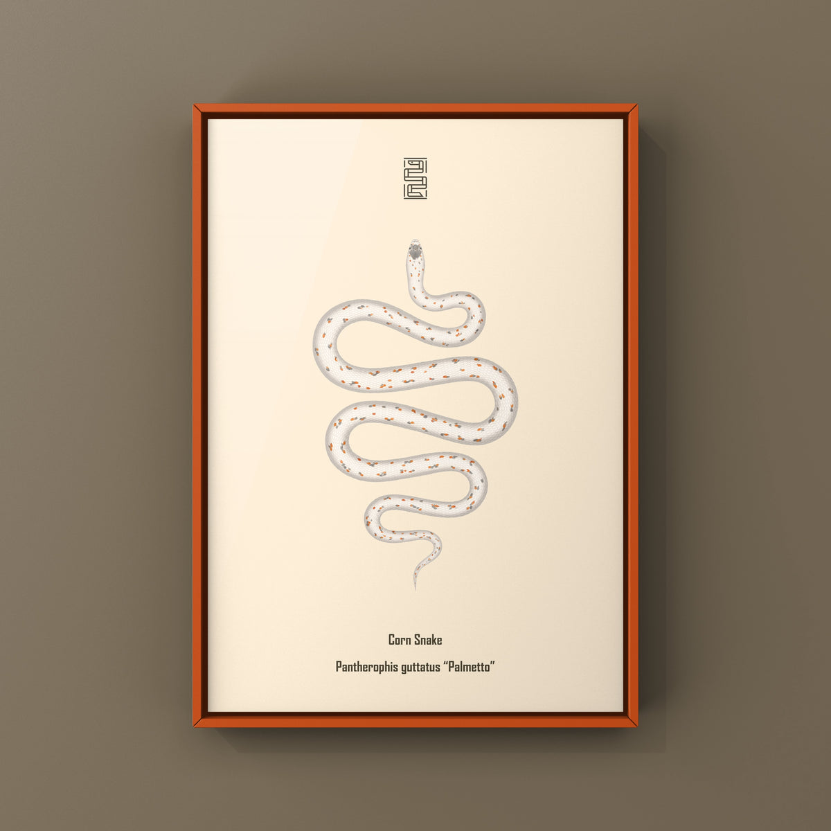 Palmetto Corn Snake Art Print (Pantherophis guttatus)