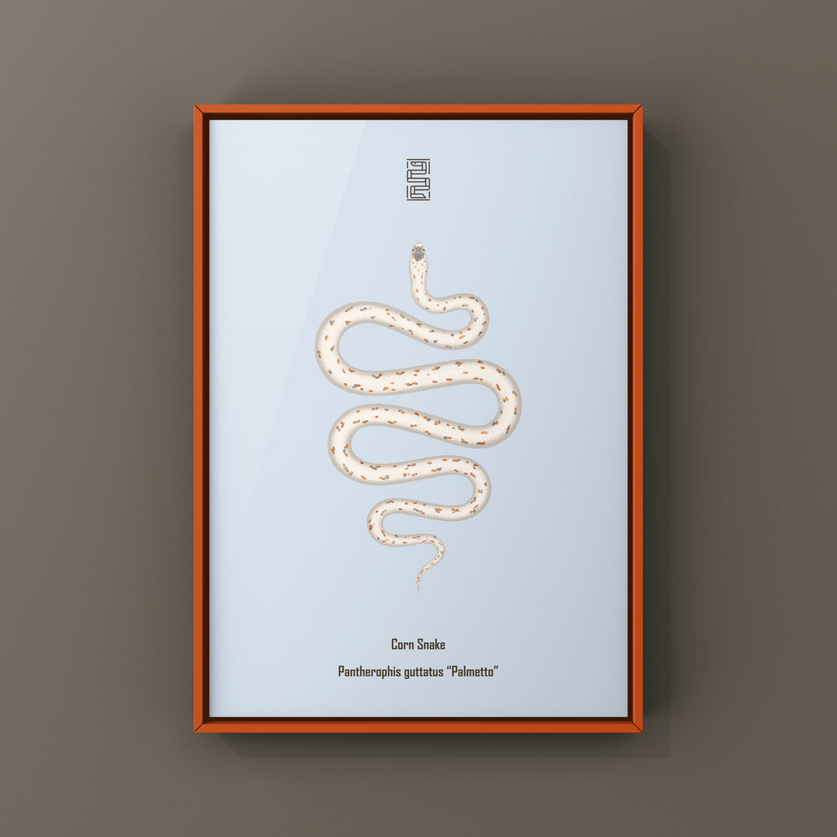 Palmetto Corn Snake Art Print (Pantherophis guttatus)