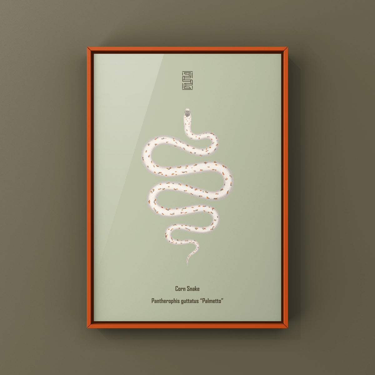 Palmetto Corn Snake Art Print (Pantherophis guttatus)