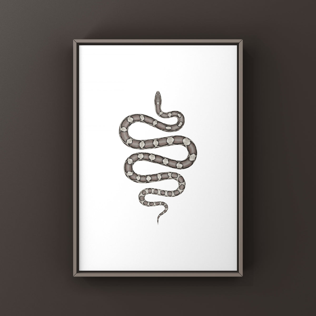 Anerythristic Corn Snake Art Print (Pantherophis guttatus)