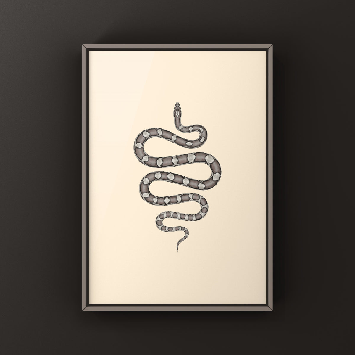 Anerythristic Corn Snake Art Print (Pantherophis guttatus)