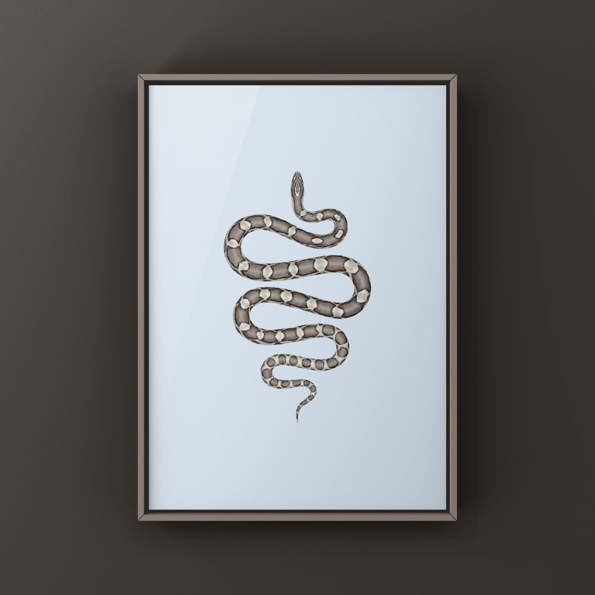 Anerythristic Corn Snake Art Print (Pantherophis guttatus)