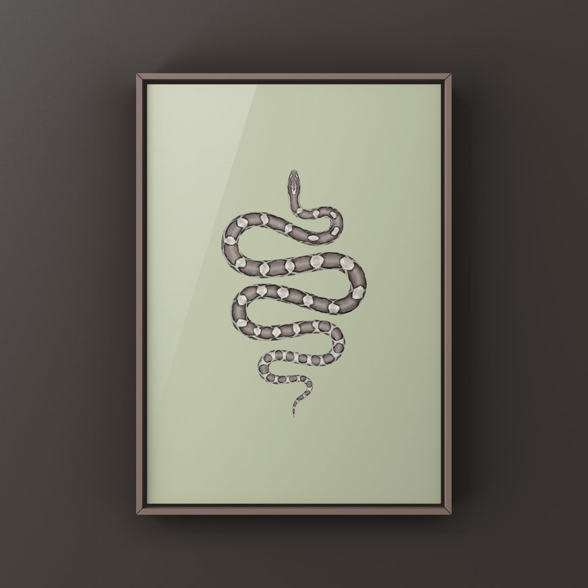 Anerythristic Corn Snake Art Print (Pantherophis guttatus)