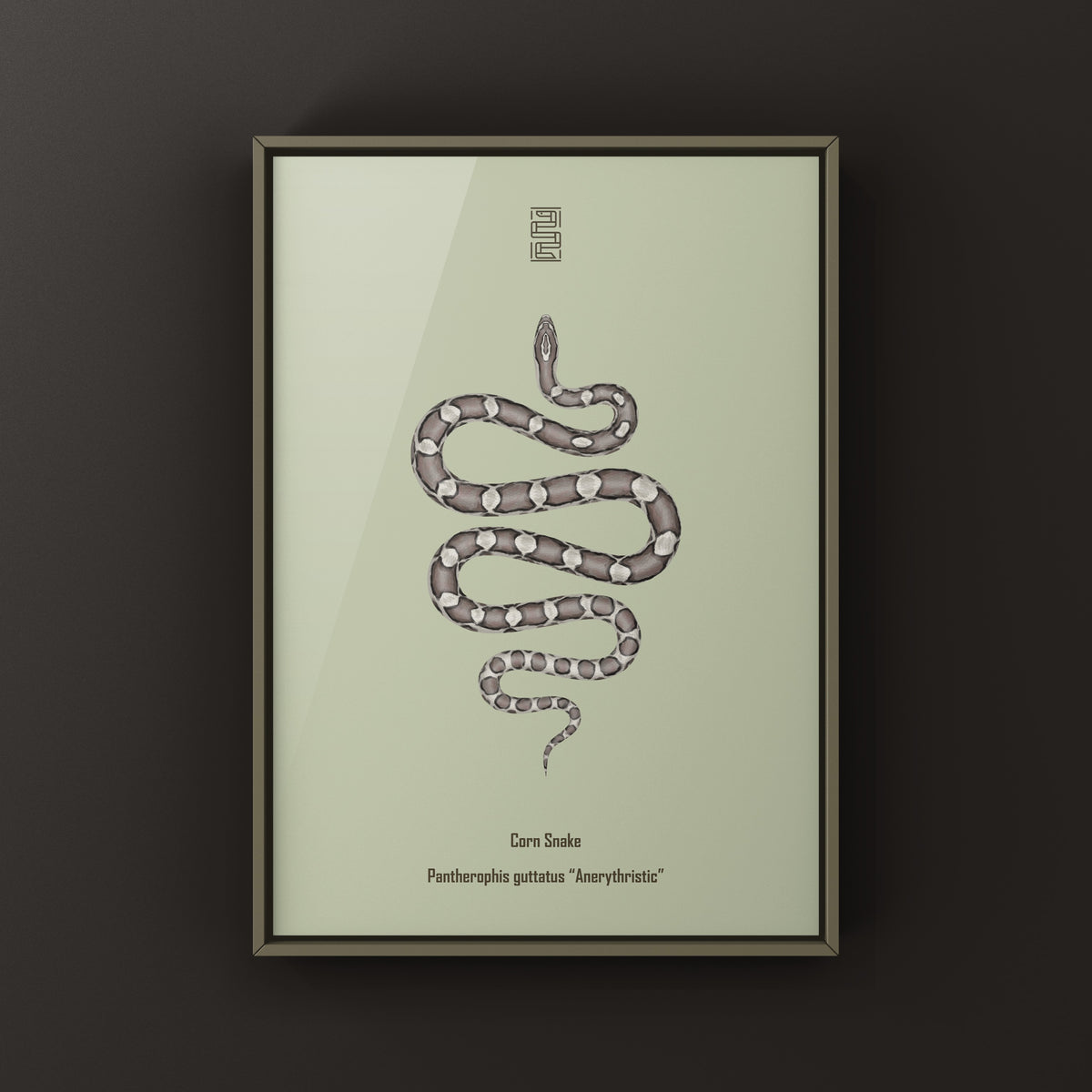 Anerythristic Corn Snake Art Print (Pantherophis guttatus)