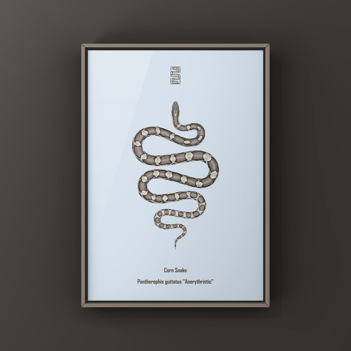 Anerythristic Corn Snake Art Print (Pantherophis guttatus)