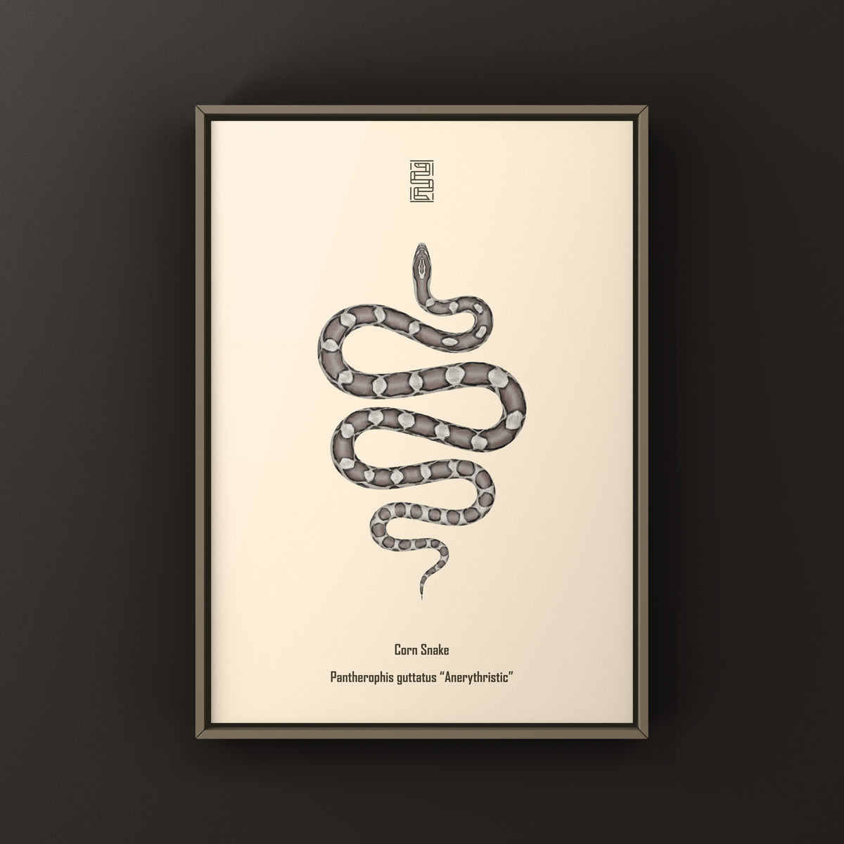 Anerythristic Corn Snake Art Print (Pantherophis guttatus)