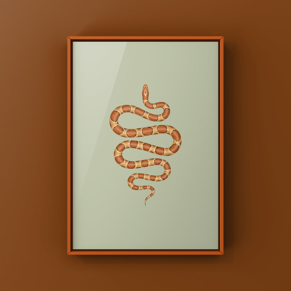 Corn Snake Art Print (Pantherophis guttatus)