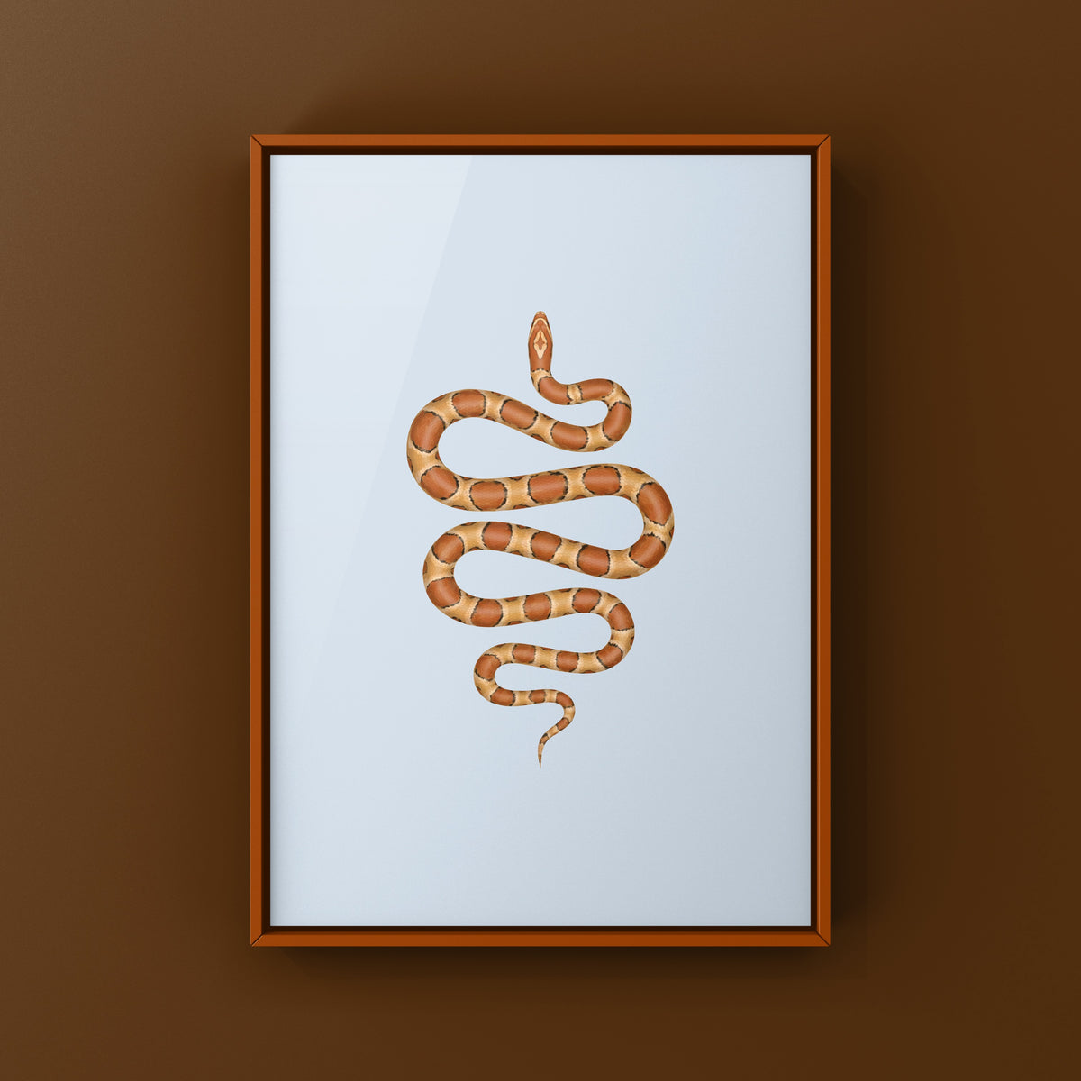 Corn Snake Art Print (Pantherophis guttatus)