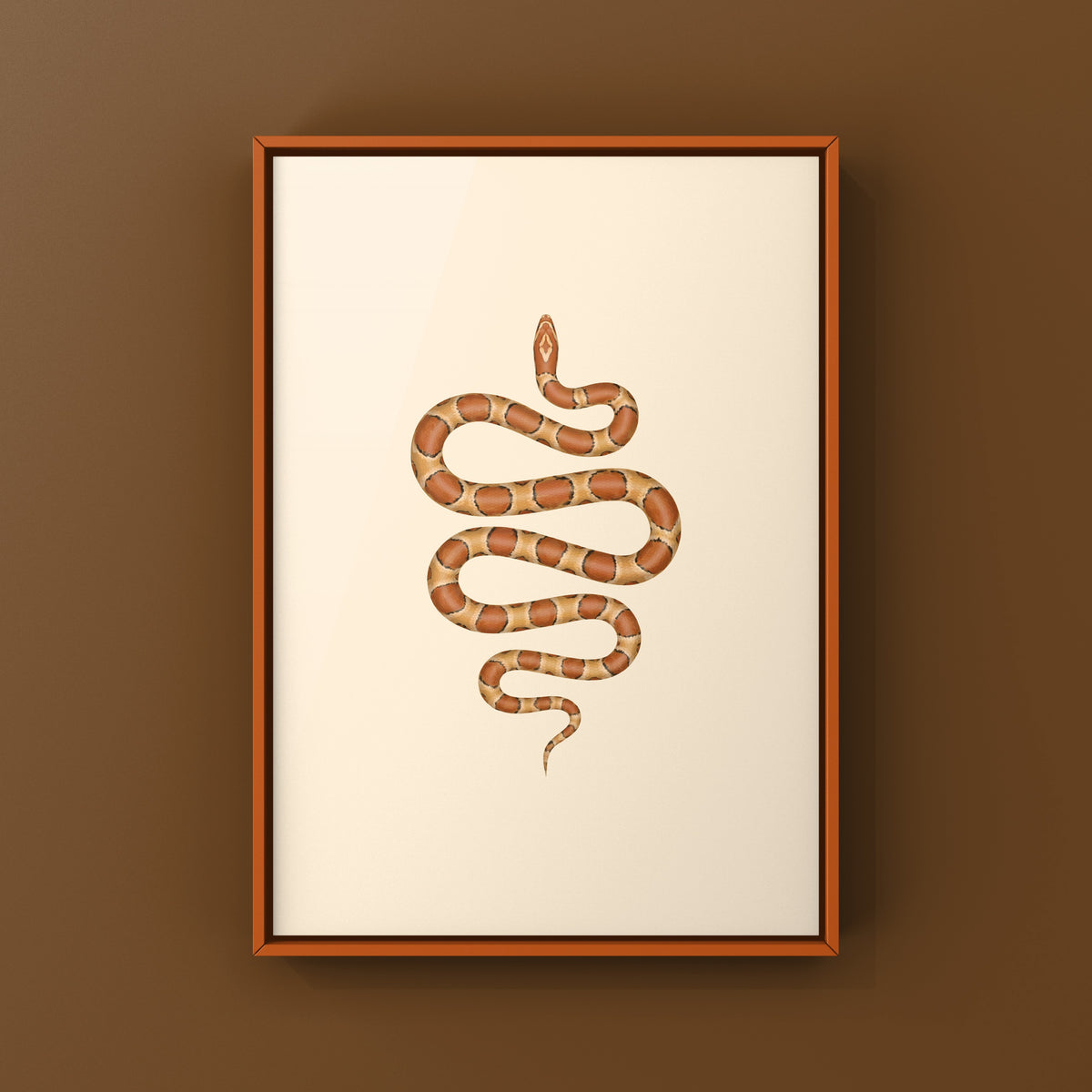 Corn Snake Art Print (Pantherophis guttatus)