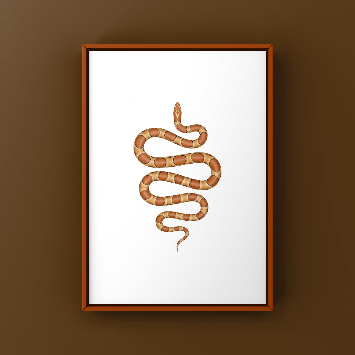 Corn Snake Art Print (Pantherophis guttatus)