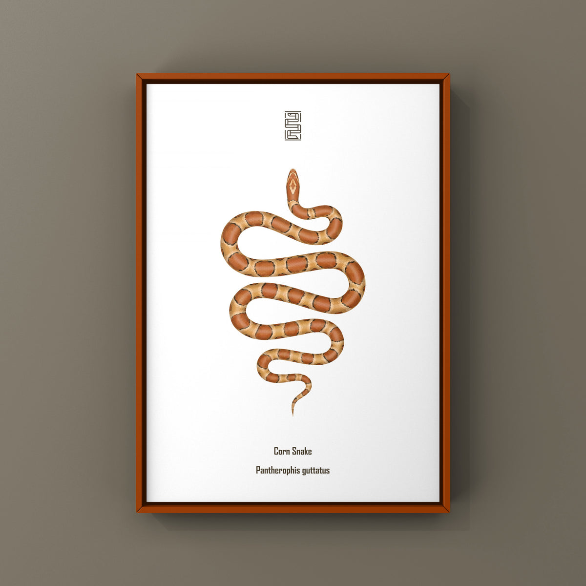 Corn Snake Art Print (Pantherophis guttatus)