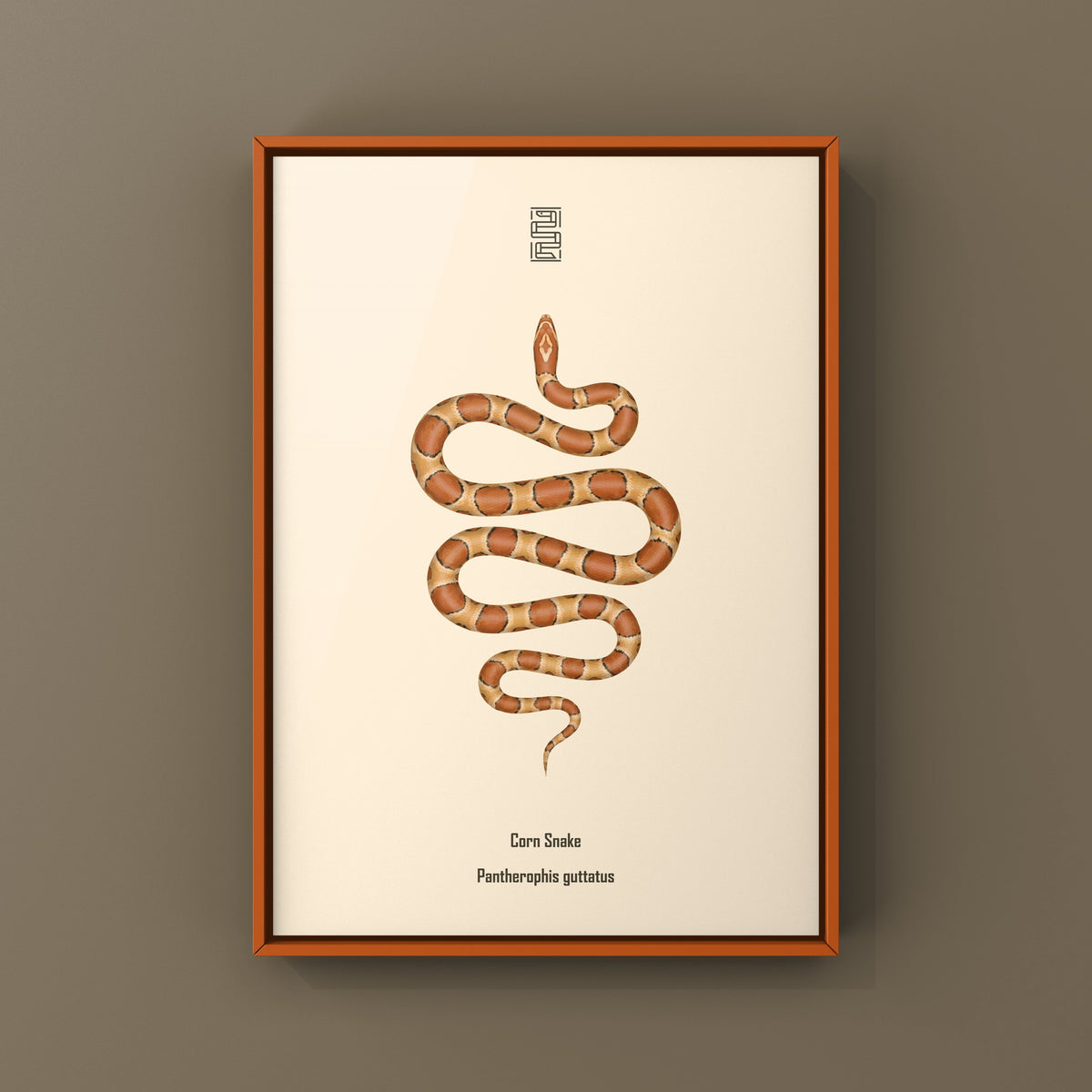 Corn Snake Art Print (Pantherophis guttatus)