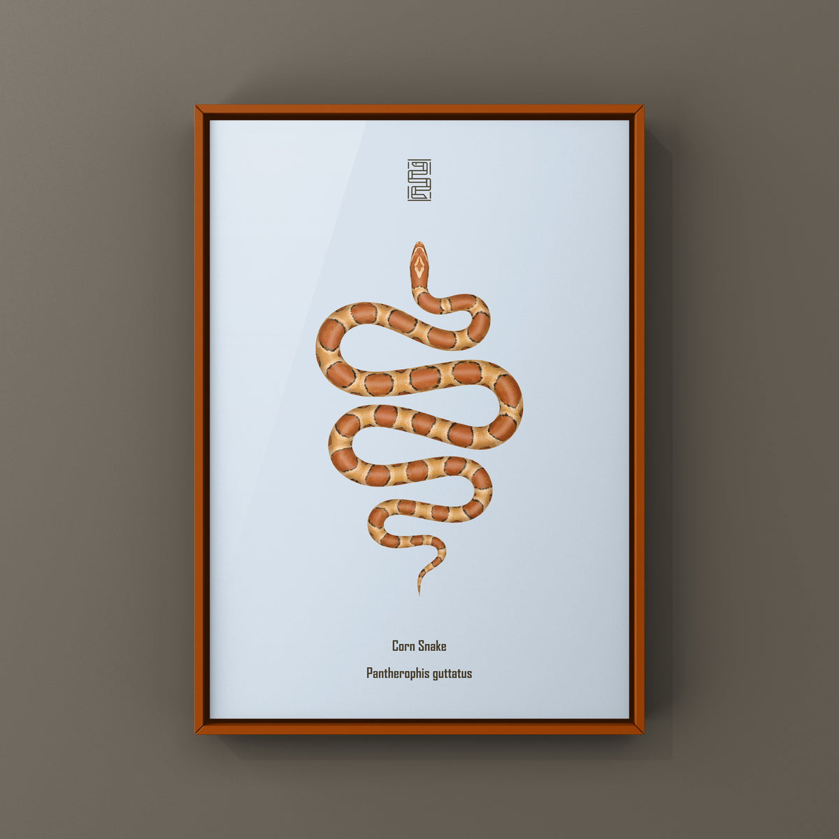 Corn Snake Art Print (Pantherophis guttatus)