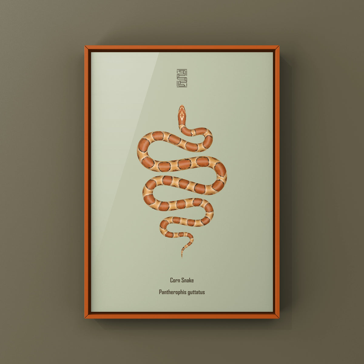 Corn Snake Art Print (Pantherophis guttatus)