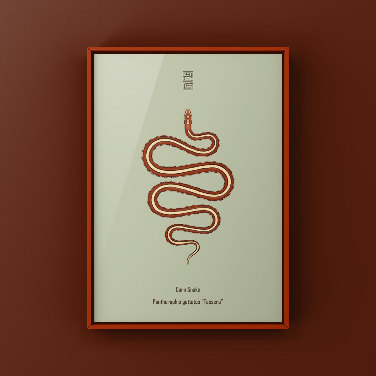 Tessera Corn Snake Art Print (Pantherophis guttatus)